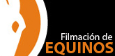 Filmacion de Caballos