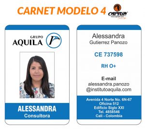 MODELO CARNET 04