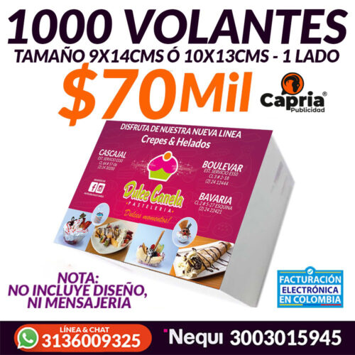 1000 VOLANTES TAM. 9x14 CMS