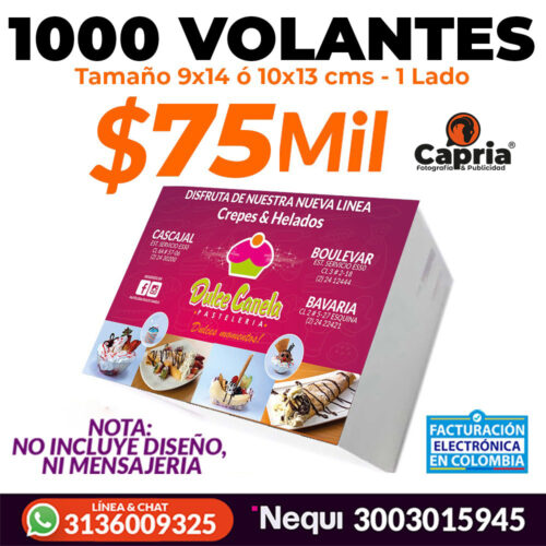 1000 VOLANTES TAM. 9x14 CMS