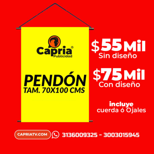 PENDÓN TAMAÑO 70 x 100 CMS