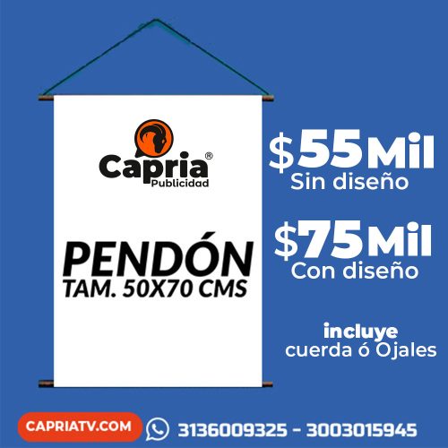 PENDÓN TAMAÑO 50 X 70 CMS