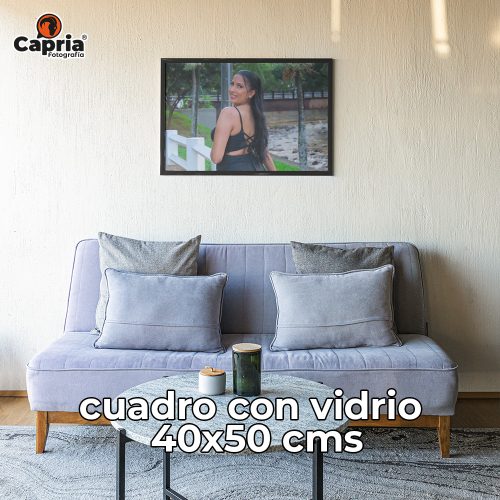 Cuadro con Vidrio 40x50 cms